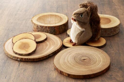 Squirrel's Home, JPG Squirrel's Home, JPG