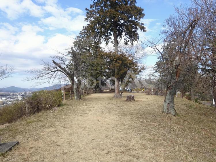 羊山公園の「見晴らしの丘」風景（冬） 羊山公園,見晴らしの丘,秩父市街地の写真素材