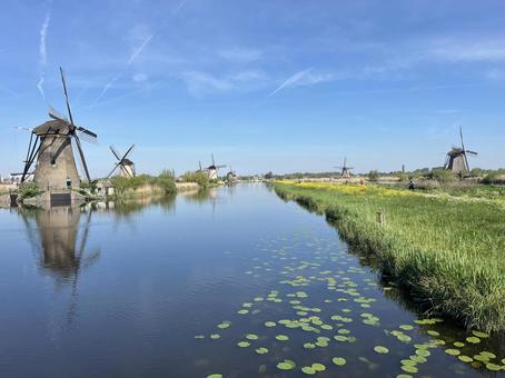 キンデルダイク＝エルスハウトの風車網 キンデルダイク,風車,オランダの写真素材