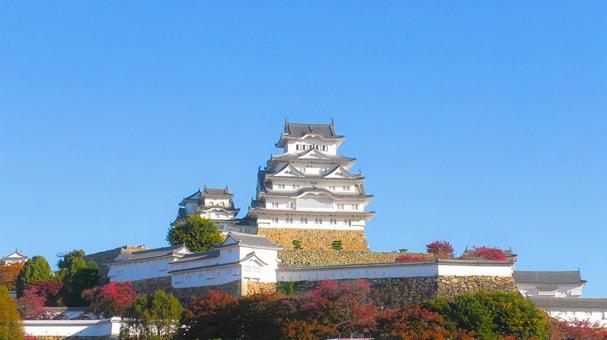 姫路城 姫路城,白鷺城,紅葉の写真素材