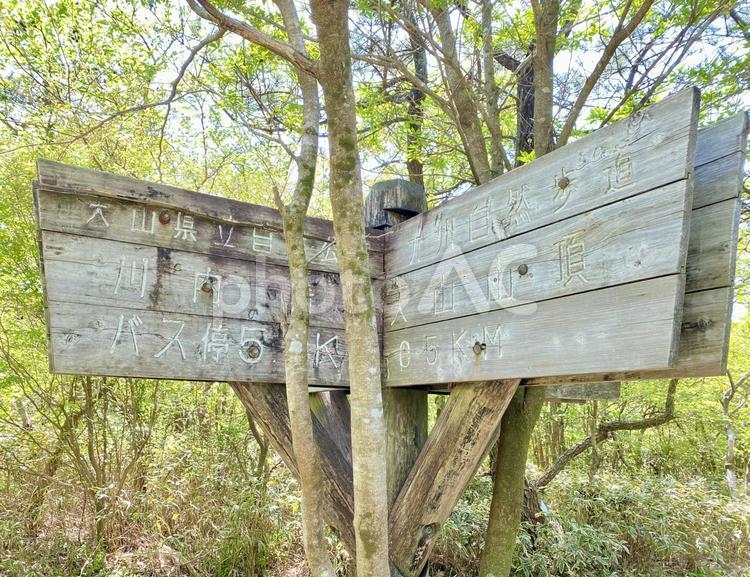 天山県立自然公園　登山道の標識　佐賀県 標識,道標,みちしるべの写真素材