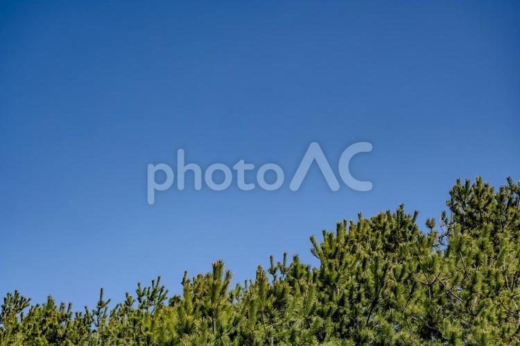 中田島砂丘周辺の景色 中田島砂丘,青空,快晴の写真素材