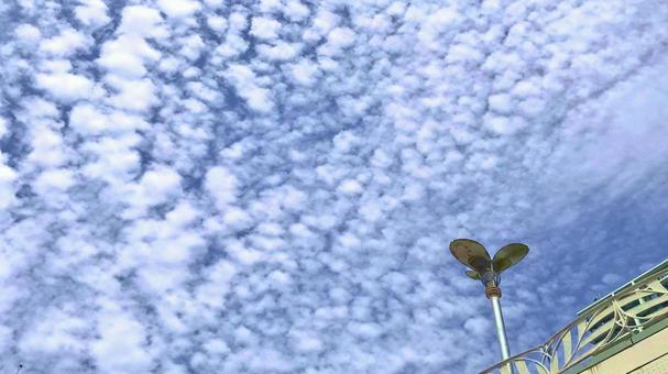 青空と美しいうろこ雲の風景 青空と美しいうろこ雲の風景の写真