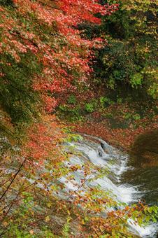 養老渓谷 養老渓谷,粟又の滝,滝の写真素材