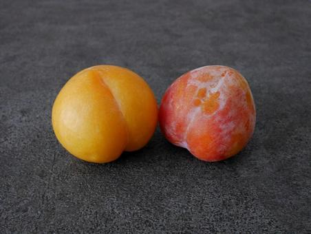 日本のプラム「峰満イエロー」と「秋姫」 日本のプラム「峰満イエロー」と「秋姫」の写真