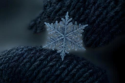 雪の結晶クローズアップ 雪の結晶クローズアップの写真