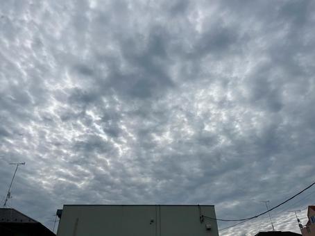 あいにくの空　10081 空,曇り,雨雲の写真素材