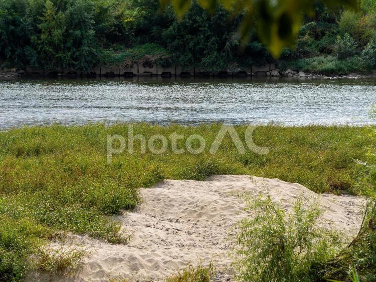 大和川と新緑の風景 大和川,川,河川の写真素材