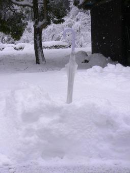 大雪に刺さった傘 傘,雪,深さの写真素材