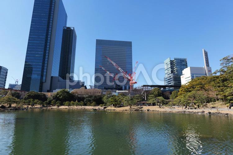 旧芝離宮恩賜庭園の日本庭園と東京のビル群 旧芝離宮恩賜庭園,日本庭園,池の写真素材
