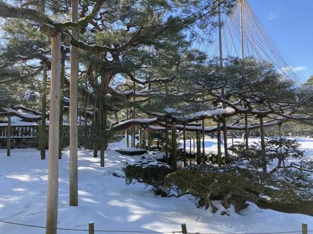 雪 雪 冬,凍った湖,雪景色の写真素材
