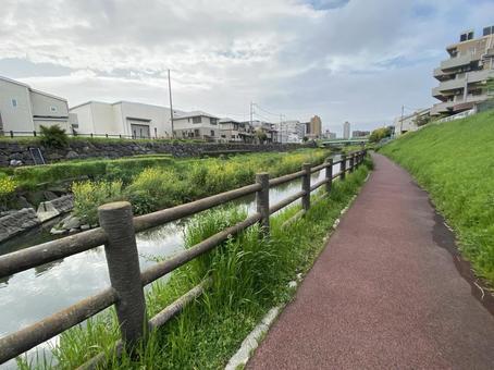 川沿いの散歩道 川沿いの散歩道の写真