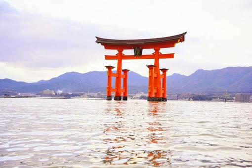 世界遺産宮島の厳島神社の大鳥居 厳島神社,大鳥居,鳥居の写真素材