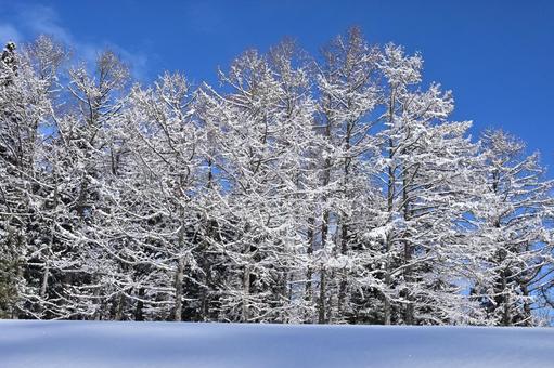青空と雪の高原の景色（2） 雪景色,雪国,高原の写真素材
