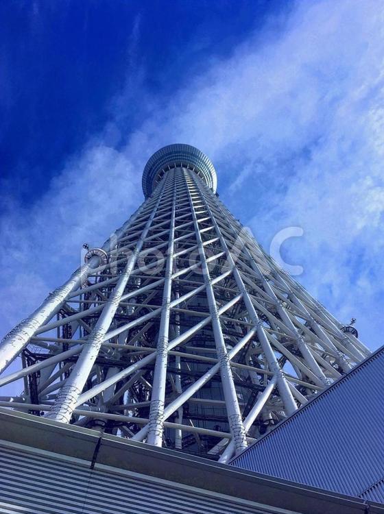 【風景写真】見上げた東京スカイツリー 風景,景色,空の写真素材
