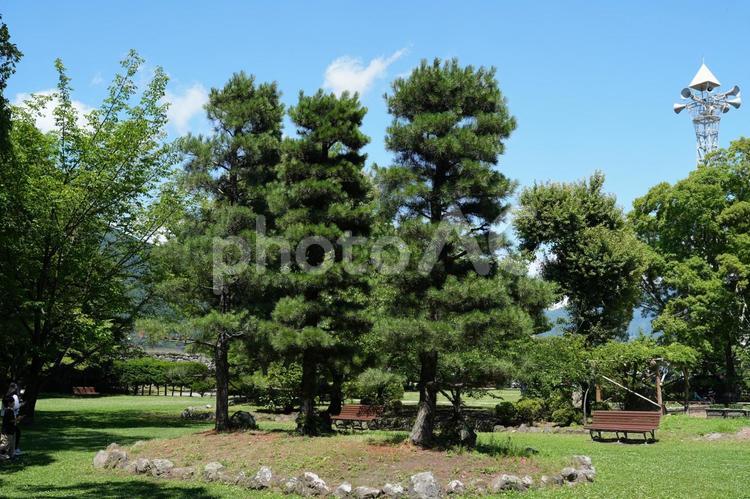 上田城址公園の風景　自然あふれる環境 上田城,東虎口櫓門,櫓門の写真素材