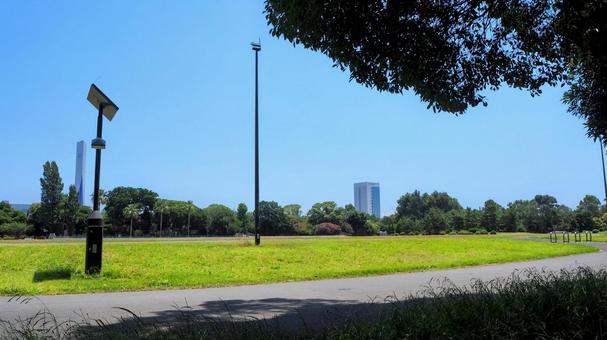 夏の夢の島公園・緑の陸上競技場(江東区) 夏の夢の島公園・緑の陸上競技場(江東区) 夏,夢の島公園,江東区の写真素材