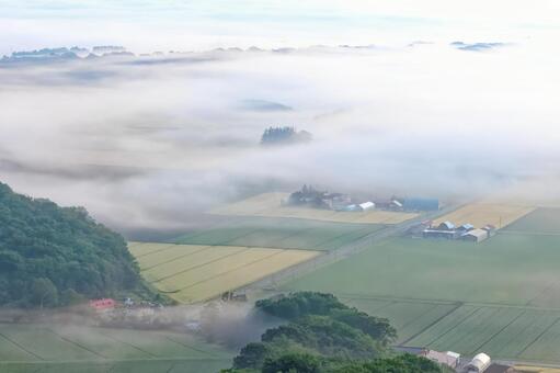 新嵐山展望台から見た雲海 新嵐山展望台から見た雲海,雲海,霧の写真素材
