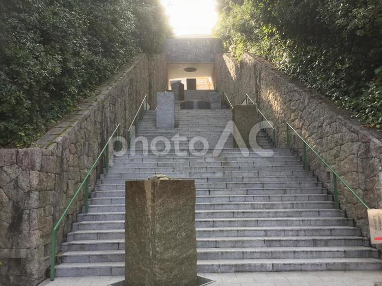 石の階段 階段,石,自然の写真素材