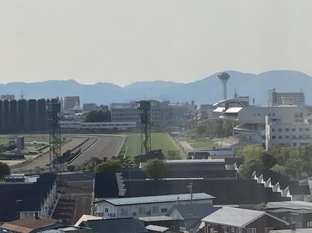 Photo, landscape, view, goryokaku tower, 