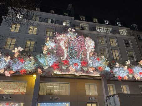 DIORのクリスマス装飾 dior,クリスマス,ディオールの写真素材