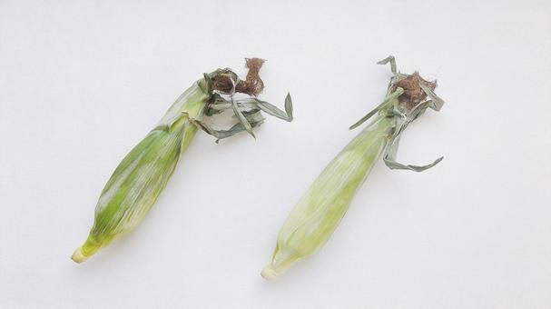 Photo, corn, vegetables, skin, 
