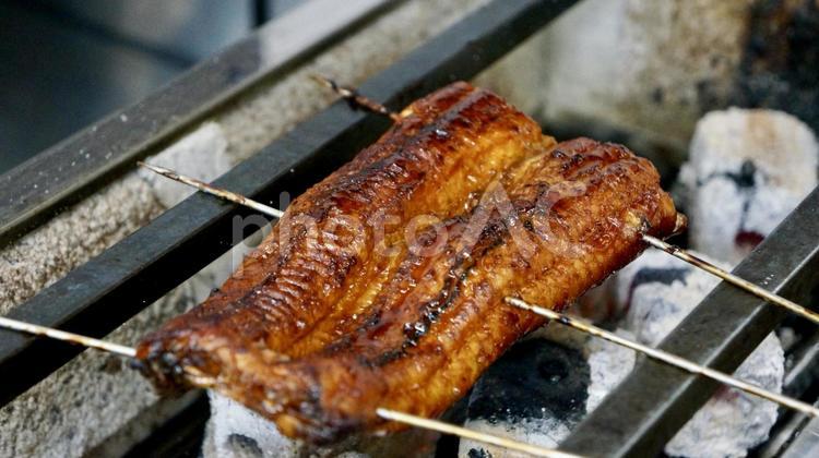 炭火で焼くうなぎの蒲焼き うなぎ,鰻,ウナギの写真素材