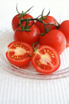ミディトマト ミディトマト ミディトマト,トマト,夏野菜の写真素材