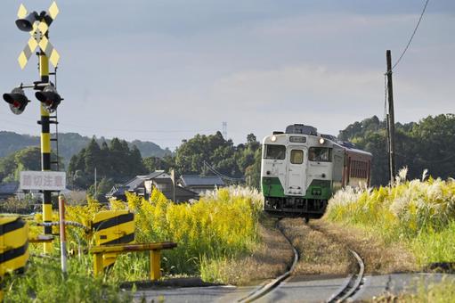 晩秋の小湊鉄道 秋,ローカル線,気動車の写真素材