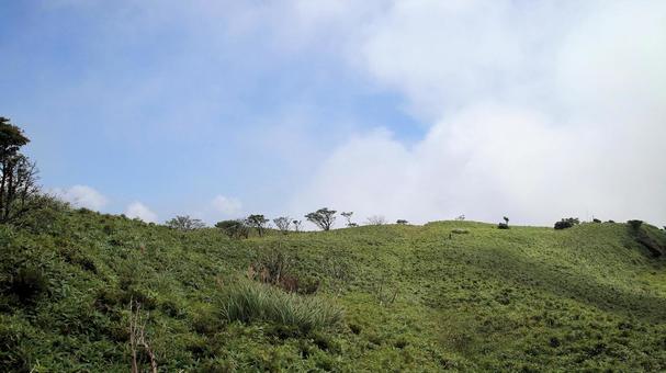 晩夏の箱根駒ケ岳山頂生い茂る夏草 晩夏の箱根駒ケ岳山頂生い茂る夏草 箱根,駒ケ岳,晩夏の写真素材