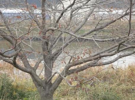 川岸-6 川岸-6の写真
