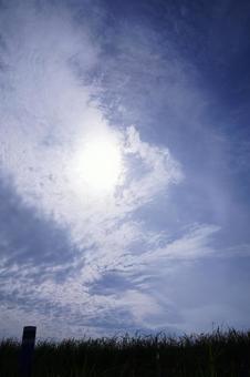 土手から見上げた空 土手から見上げた空 空,雲,青空の写真素材