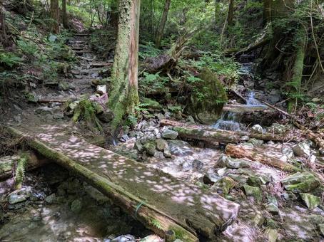 気持ちのいい登山道⑥ 気持ちのいい登山道⑥ 登山道,気持ちいい,沢の写真素材