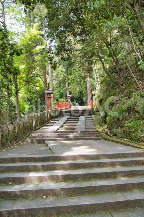 鞍馬寺の石段と灯篭。　　京都　日本　 鞍馬寺,石段,階段の写真素材