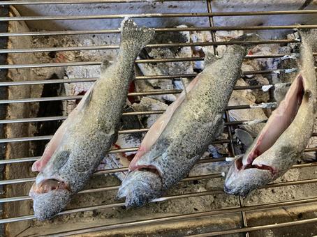 アユ アユ あゆ,鮎,焼き物の写真素材