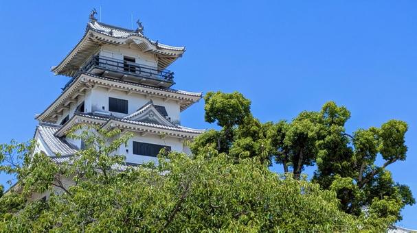 今治城-95 今治城-95 愛媛県,今治市,今治城の写真素材