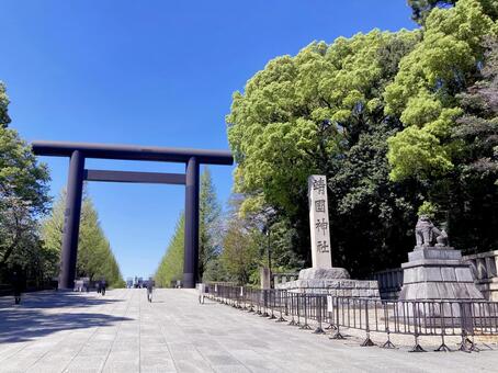 東京風景・靖国神社 靖国神社,靖国,神社の写真素材