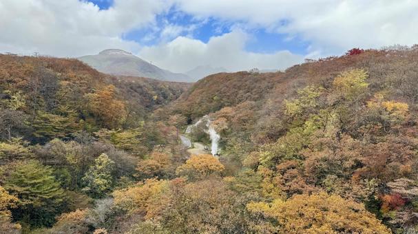 山火事 山火事,紅葉,秋の写真素材