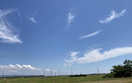 台風一過の青空と平地 台風一過の青空と平地 空,木,雲の写真素材