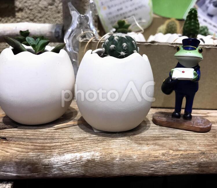 カエルの郵便屋さん テーブル,何人もありません,木材の写真素材