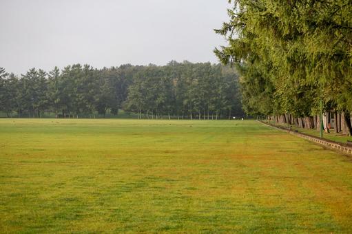 帯広の緑ヶ丘公園の朝の風景 緑ヶ丘公園,グリーンパーク,公園の写真素材