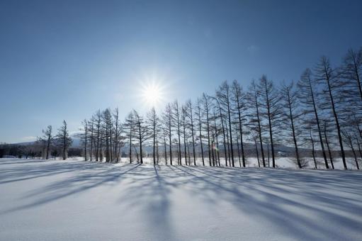 雪原に映す太陽の光と影 雪原に映す太陽の光と影の写真