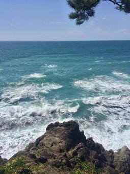 桂浜の海 桂浜の海 海,桂浜,波の写真素材