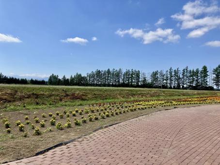 北海道の自然 北海道の自然の写真