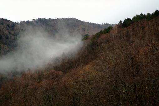 晩秋_山霧 晩秋_山霧の写真