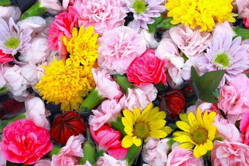 多数の満開の花々 ピンク,赤,背景の写真素材