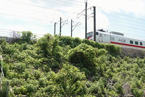 Photo, jr east japan, e491 series, ac/dc dual-current observation train, 