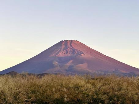 秋のはじまり 秋のはじまり 富士山,ススキ,草原の写真素材