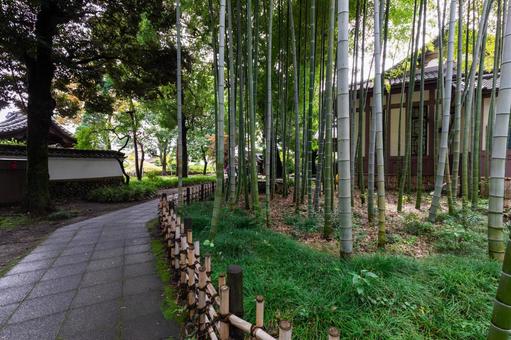 日本庭園 日本庭園の写真