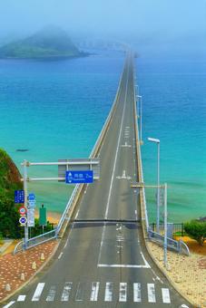 霧の角島大橋 霧の角島大橋 角島大橋,角島,橋の写真素材